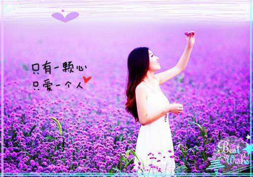 舍友看上了我的CEO未婚夫免费试读 周乐李曼妮叶莉小说第2章