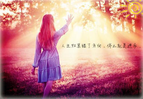 沈可陆淮林薇小说名字 沈可陆淮林薇全文免费阅读