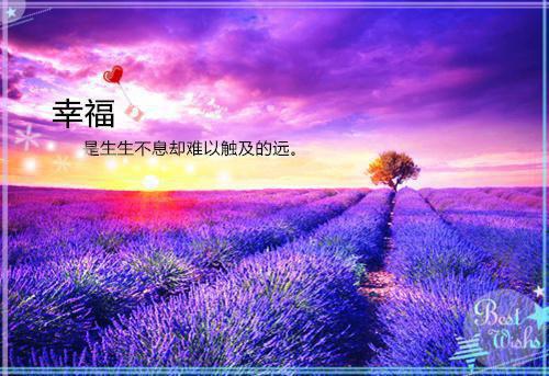 乔阮傅闻舟小说最后结局 乔阮傅闻舟完结版免费阅读