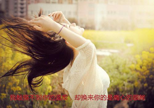 风薏宁孟晟一小说叫什么名字 风薏宁孟晟一全文免费阅读