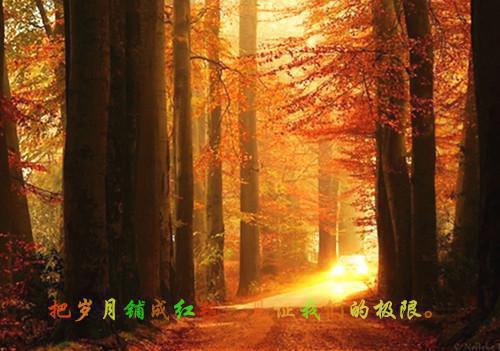顾长生顾书漓大结局是什么 我，永恒祖神，你们也敢诬陷？小说全文阅读