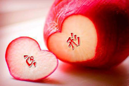 齐皓温婉免费阅读 齐皓温婉最新章节目录