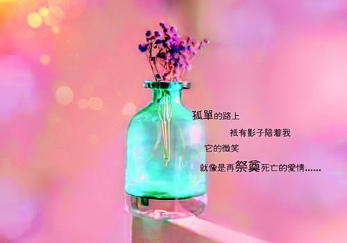 林清瑶陈默《舔狗男配转正了》小说在线阅读
