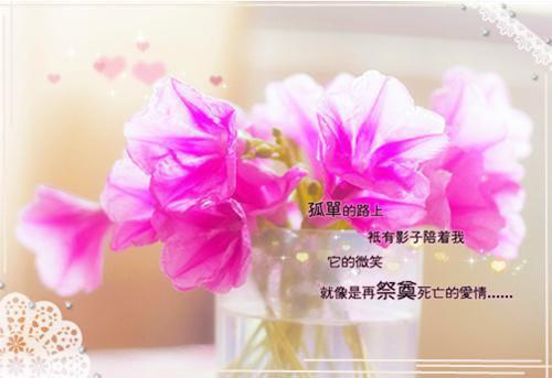 (抖音小说)林晚晚陆绍胤免费阅读第0017章
