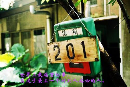 假千金归来，把全家骨灰都扬了小说全文 沈枝意顾淮京无删减无弹窗阅读