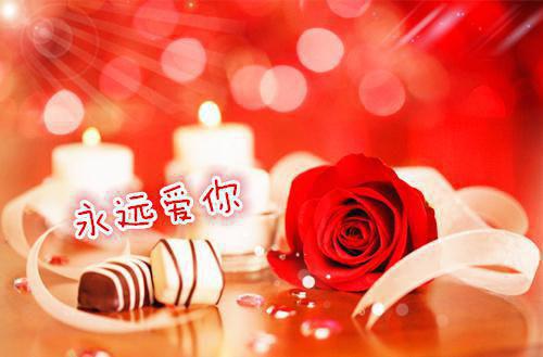 痴心倒戈免费阅读陆难周雅若小说第五章