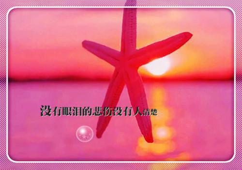 何朝煦柳意黎初大结局在线阅读 黎初全本免费看