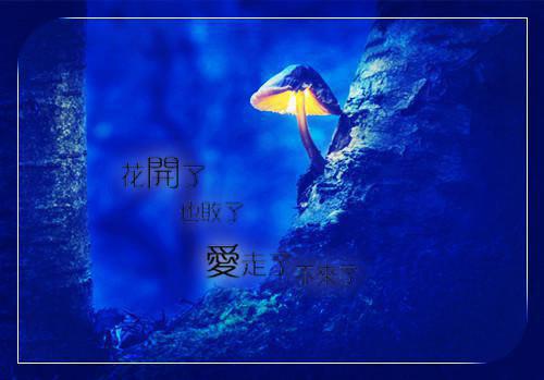 主角叫徐长寿张正元的小说 杂役弟子没前途？开局觉醒道符传承全文免费阅读