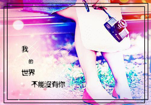 洛诗诗封彧已完结_洛诗诗封彧最新章节