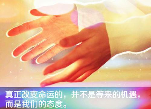 同桌和发小都是猫科动物免费阅读第4章 主角楚宴沈清梨陈妄