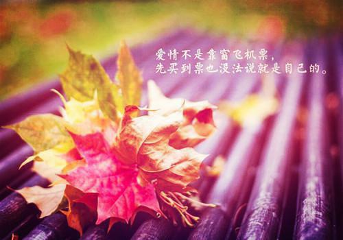 长不大的童星李莉小文未删节全文免费阅读