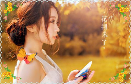 谢渊最新篇章 胡闹狗叫全本免费阅读