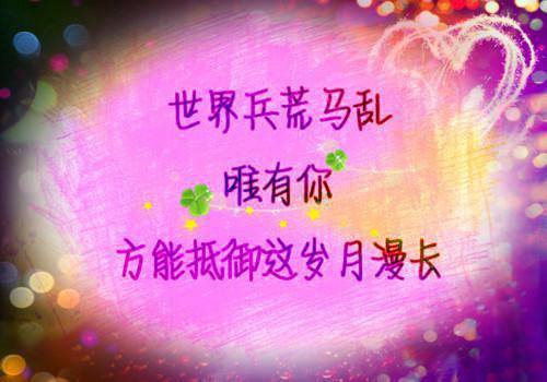 向晚许越然小说叫什么名字 向晚许越然全文免费阅读