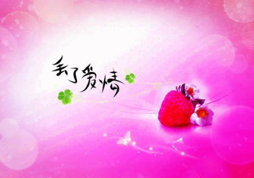 主角是宋飞羽洛倾雪的小说免费阅读全文大结局