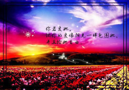 江明月宋航文全文阅读最新 江明月宋航文小说目录