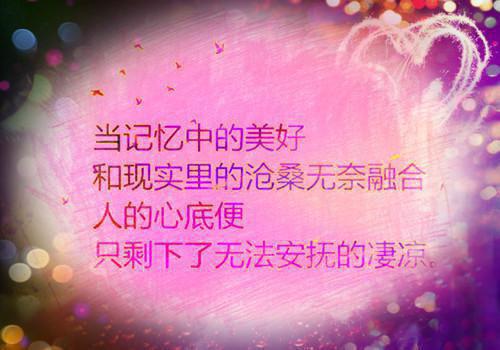 孙朝小七全文免费无弹窗 巫龟贺寿章节试读