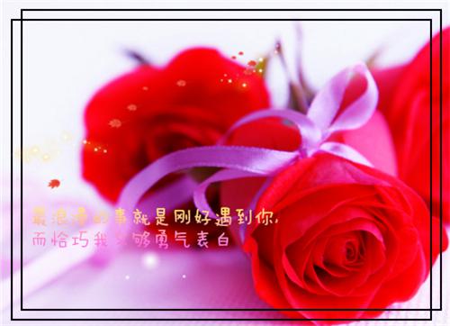 顾居寒宋南烟（宋南烟顾居寒最新全章节大结局）全文阅读