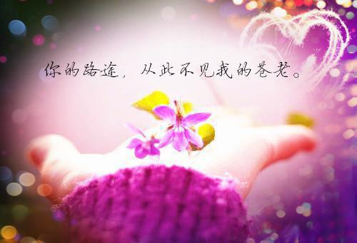 穿越断亲我怀了狠辣权臣的崽（王晚晚段流年）小说全文免费读无弹窗大结局_穿越断亲我怀了狠辣权臣的崽小说全文免费阅读最新章节列表