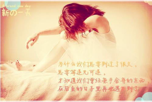 叶璃月陆景琛免费阅读无弹窗 叶璃月陆景琛最新章节