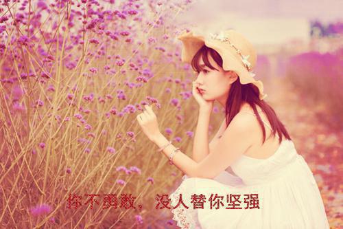 樱花树下：白月光夏落落小说 樱花树下：白月光夏落落佚名