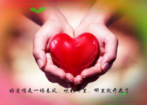 女神被骗缅北之后第18章免费阅读 宛丘高清章节目录