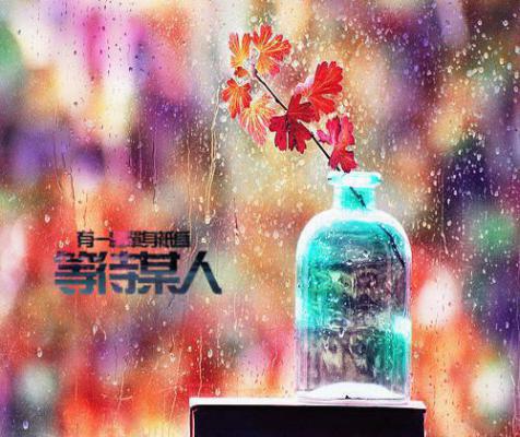 在侯府六年当牛做马夫君和儿子都不领情小说完整版 盛弘阿梨在线阅读