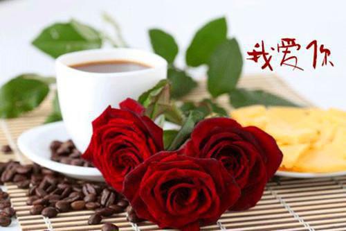 沈伯炀柯笑妍完整未删减版在线阅读 沈伯炀柯笑妍结局