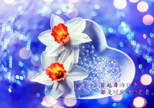 主角名是苏婉宋语全文免费阅读正版
