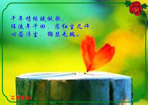叶凝夕卫霆免费阅读小说 叶凝夕卫霆第四章