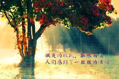 陆川陈安龙傲天免费阅读 陆川陈安龙傲天最新章节目录