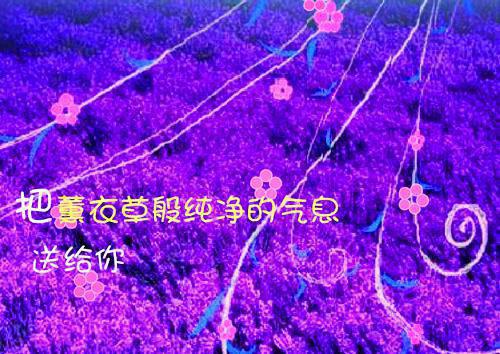 黄小翠吴刚完整未删减版在线阅读 黄小翠吴刚结局