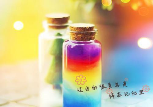 夏枝晚贺逾征小说 夏枝晚贺逾征免费章节阅读
