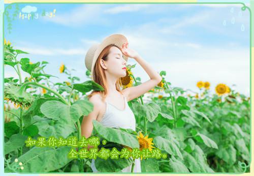 俞思柠萧倦书结局是什么 俞思柠萧倦书免费阅读全文
