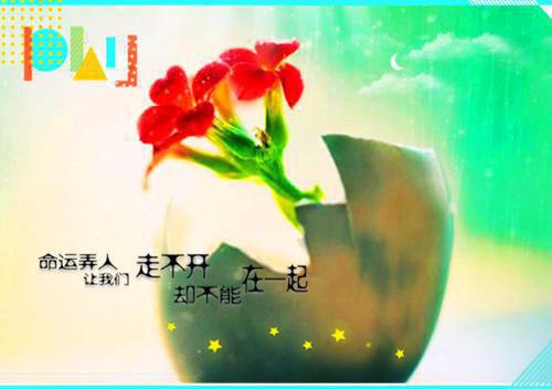 谈晚絮周崇礼全文最新章节正版小说免费阅读