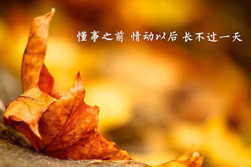 沈祈言绾秦霖小说免费 沈祈言绾秦霖第1章在线阅读