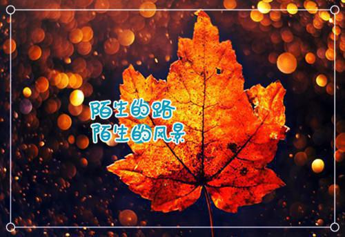 新书《给闺蜜买房后，她造谣我被包养》白潇潇陆雅晴陆元青全文免费阅读