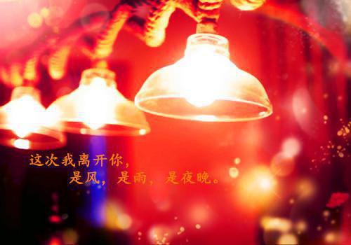 梁诗尔季泊辰小说阅读 梁诗尔季泊辰全文免费无广告