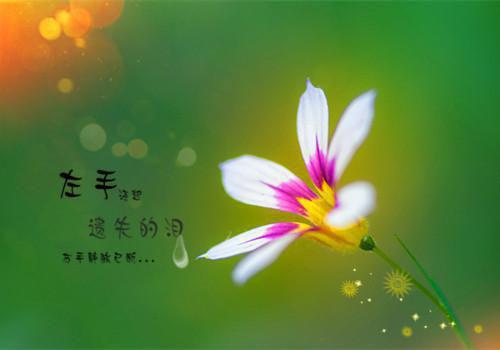 梦笙玄卿盛渔小说在线阅读 梦笙玄卿盛渔最新章节目录
