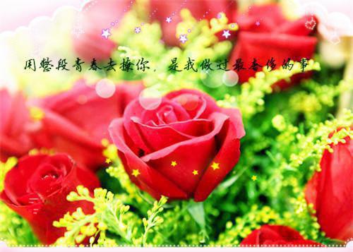 许月云程泽川小说 许月云程泽川免费全文阅读