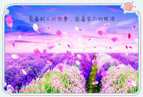 江雪苏城陆宴免费阅读无弹窗 江雪苏城陆宴最新章节
