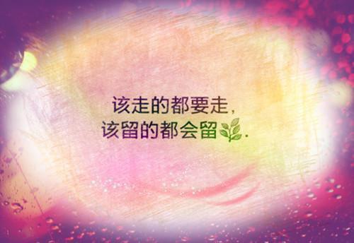 秦泽荣迟欢欢小说免费阅读无弹窗大结局，秦泽荣迟欢欢最新章节列表