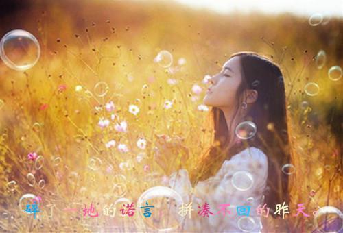 许之煜许莹是什么小说 满目星辰不见你胖哒鲜橙