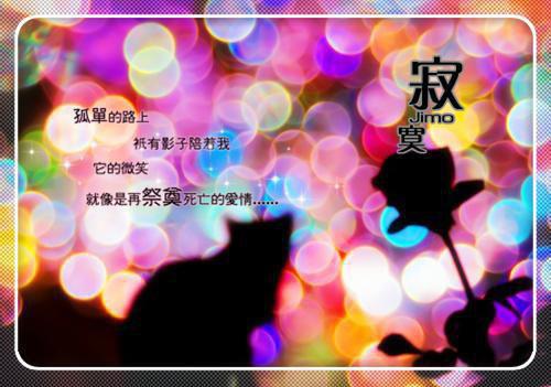 宋宁谢临洲（宋宁谢临洲小说）最新在线阅读_宋宁谢临洲小说免费阅读