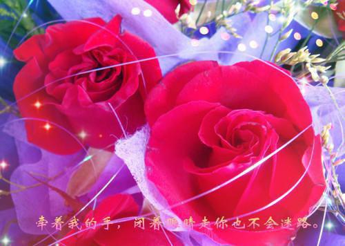 吕怜心蒙毅小说最新章节 吕怜心蒙毅免费阅读