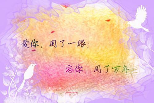 主角叶瑾韵君泽辰小说免费阅读最新章节