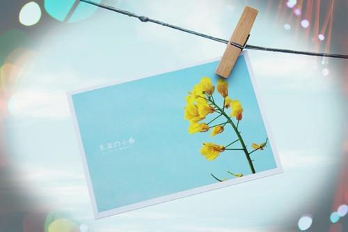 吴秋意严湛小说全文 吴秋意严湛小说免费阅读大结局