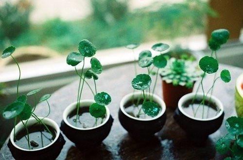 张俊鹏琳琳小说阅读 张俊鹏琳琳全文免费无广告