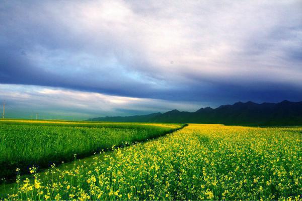 (最新)沈潇潇戴成临小说完整版免费阅读