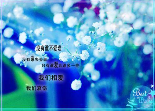 宋瑶第四章 宋瑶小说免费阅读