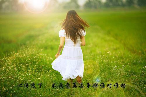 向朝颜司徒钰宇文彻小说在线阅读 向朝颜司徒钰宇文彻最新章节目录